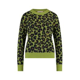 Overview image: Nino leopard pullover